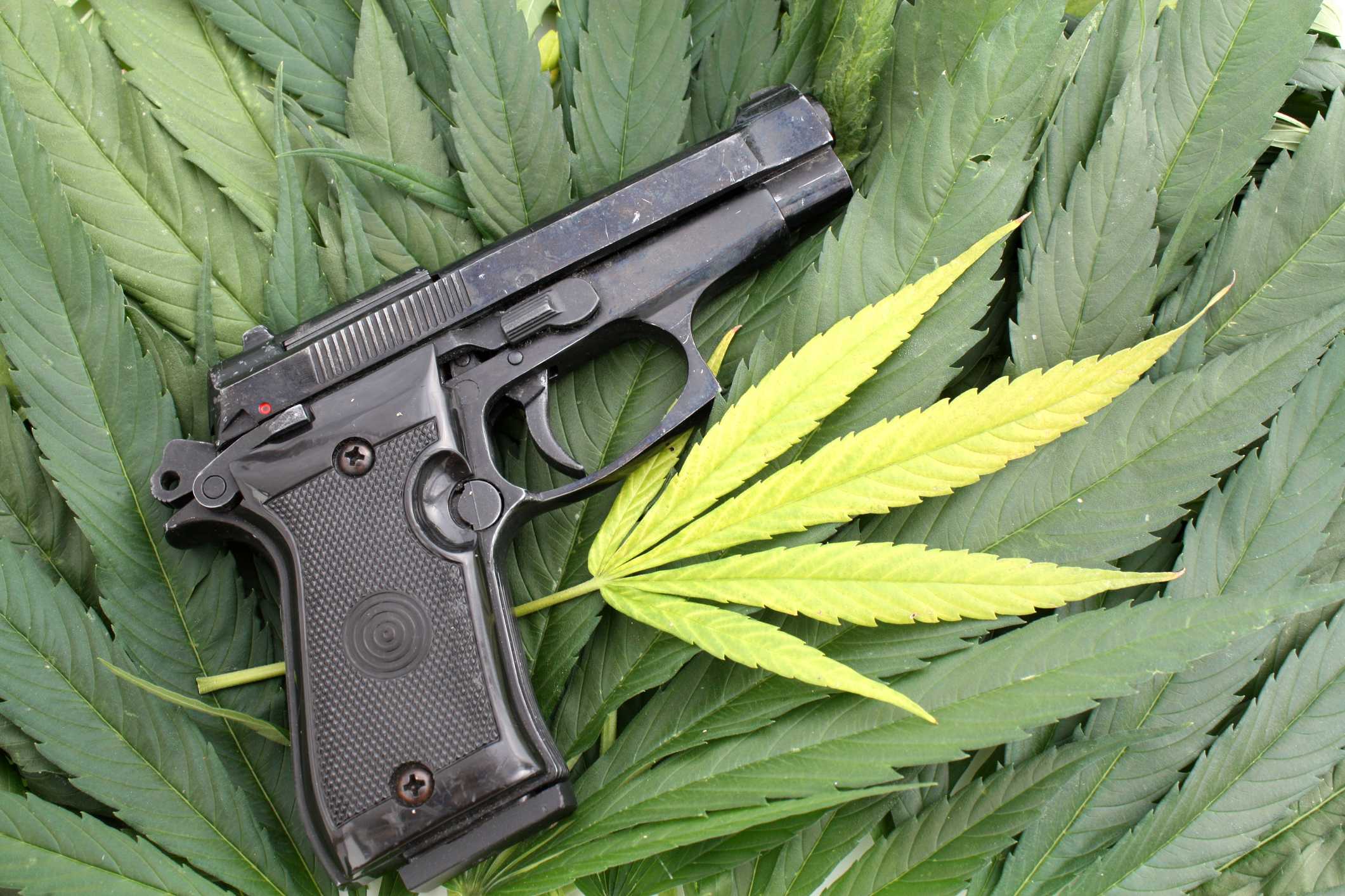 Supreme Court sides with a Texas man who says itβs not a crime for marijuana users to have guns β WESH 2 Orlando